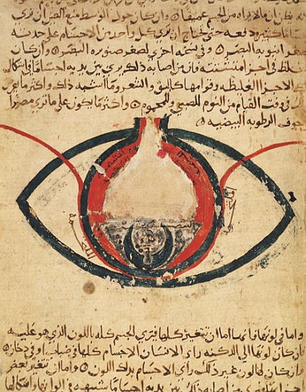 Anatomy of the Eye, from a book on eye diseases à Al-Mutadibi