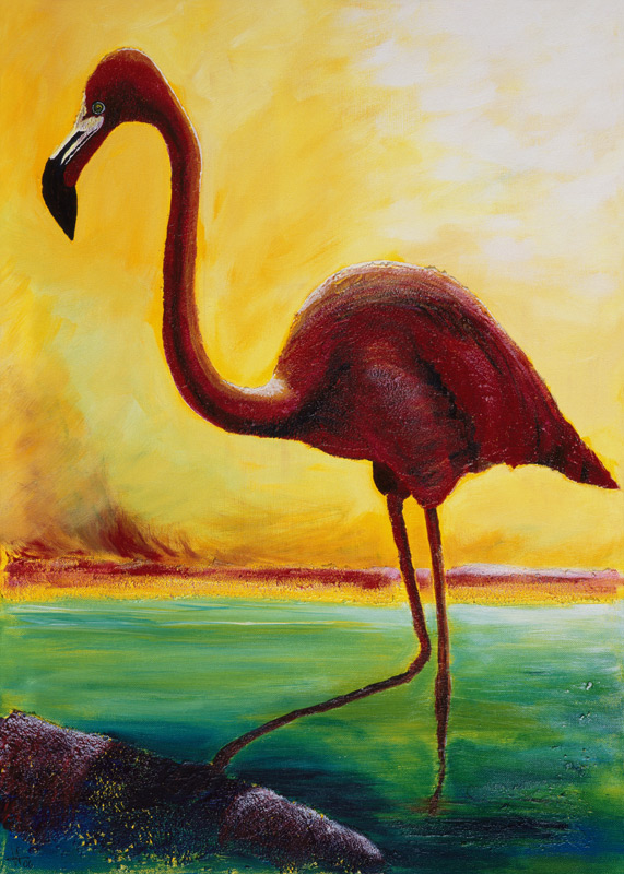 Flamingo à Arthelga