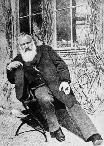 Johannes Brahms, c.1897 à Photographe autrichien