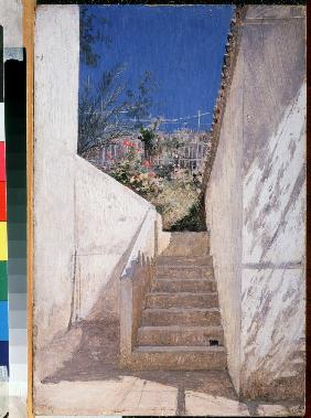 A Garden Staircase. Algeria