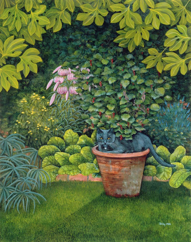 The Flower-Pot Cat à Ditz 