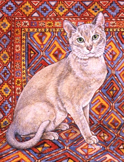 Abyssinian Carpet-Patch à Ditz 