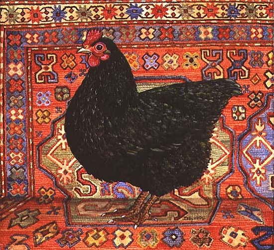 Black Carpet Chicken, 1995  à Ditz 