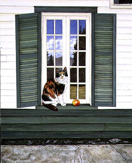 Brush Creek Cat, 1995  à Ditz 