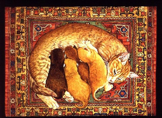Carpet-Kittens  à Ditz 