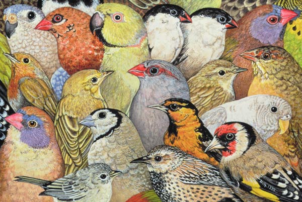 Patchwork-Birds, 1995 (acrylic on panel)  à Ditz 