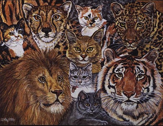 Ileana''s Semi-Wild Cat-Spread-Patch, 1993  à Ditz 