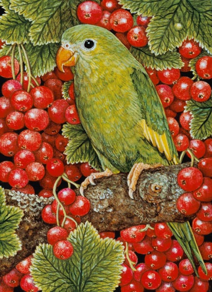 Redcurrant-Parakeet, 1995 (acrylic on panel)  à Ditz 