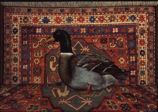 Rouen Carpet-Drake  à Ditz 