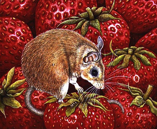 Strawberry-Mouse, 1995 (acrylic on panel)  à Ditz 
