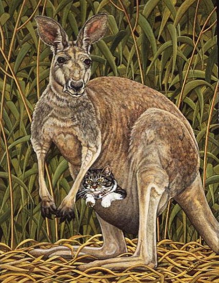 The Kangaroo-Cat  à Ditz 