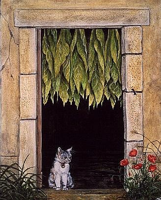 The Tobacco-Cat, 1989  à Ditz 