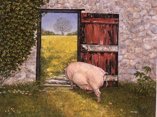 The Ware Farm Pig à Ditz 