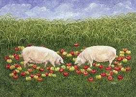 Apple-sows 