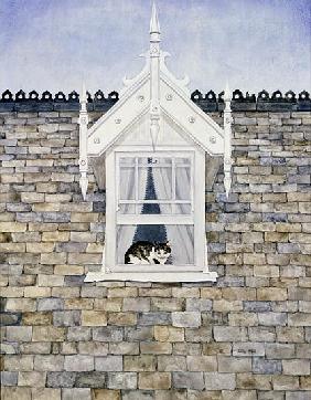 St.Helier Dormer Cat 