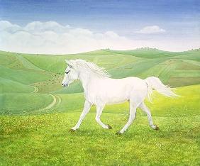 The Landscape Horse