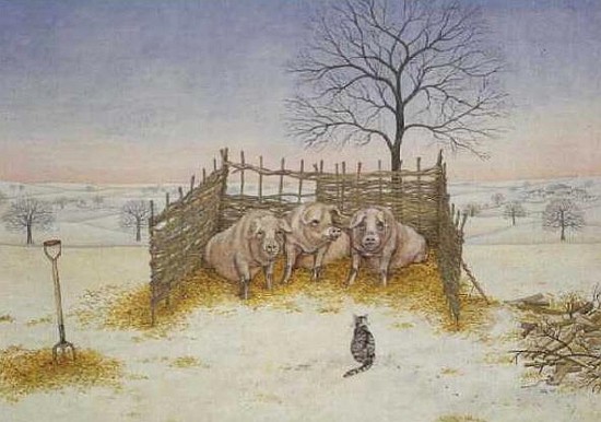 Winter Pigs  à Ditz 