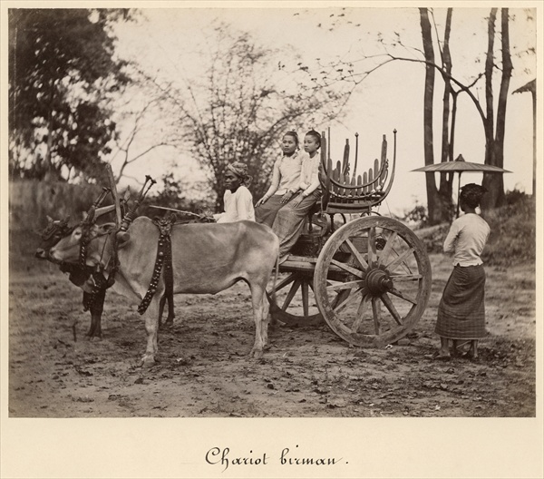 Cart pulled by two oxen at Mandalay, Burma, c.1885 (albumen print from a glass negative) (b/w photo) à Photographe anglais