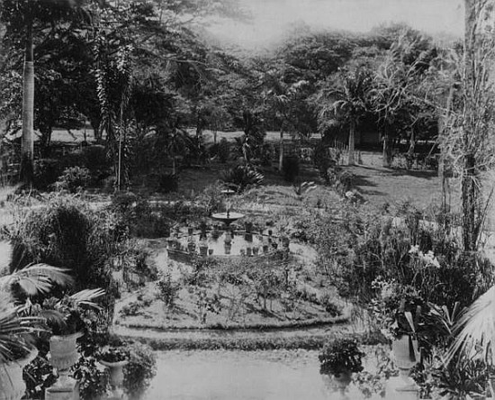 Garden of a Suburban Villa, Port of Spain, Trinidad à Photographe anglais