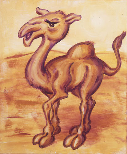 Groovy Camel à Funkyzoo