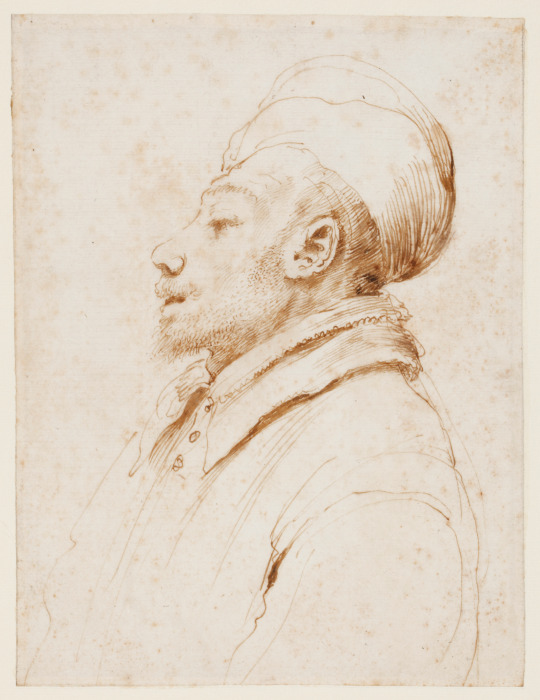 Karikatur eines Mannes im Profil nach links à Guercino (Giovanni Francesco Barbieri)