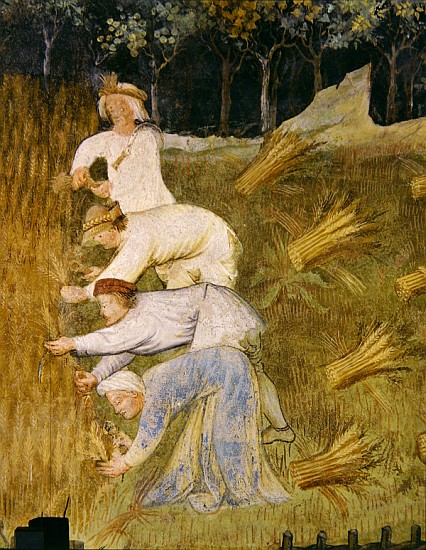 Harvesting wheat, detail à École italienne
