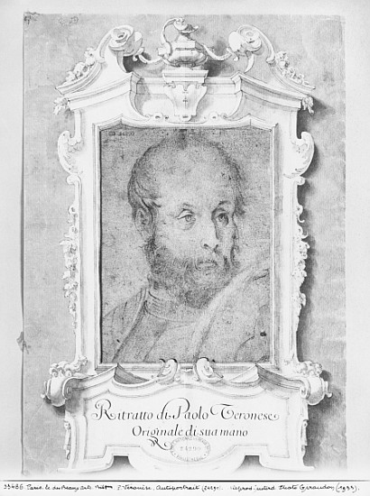 Portrait of a man presumed to be Veronese (Paolo Caliari) (pierre noire on bluish paper) à École italienne