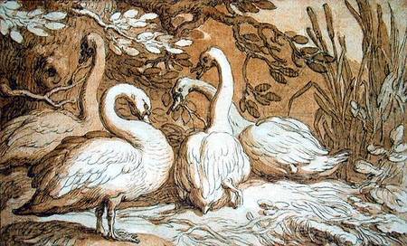 A Group of Swans à Abraham Bloemaert