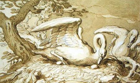A Swan in her Nest à Abraham Bloemaert