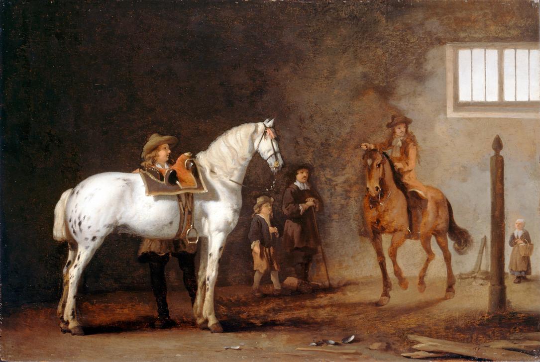 Weißes Pferd in einer Reitschule à Abraham van Calraet
