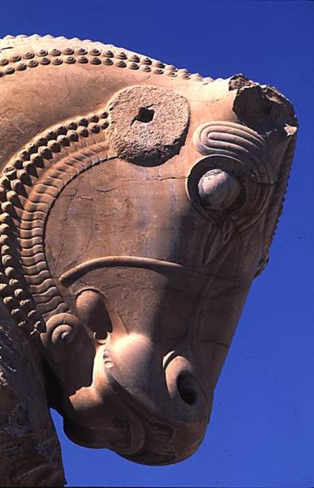 Bull's head on the northern portico of the Throne Hall of Xerxes à Achaemenid