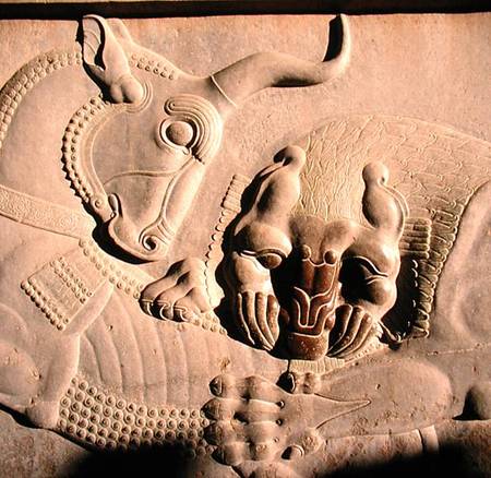A ferocious lion attacking a bull, relief from the northern stairway facade of the Tripylon à Achaemenid