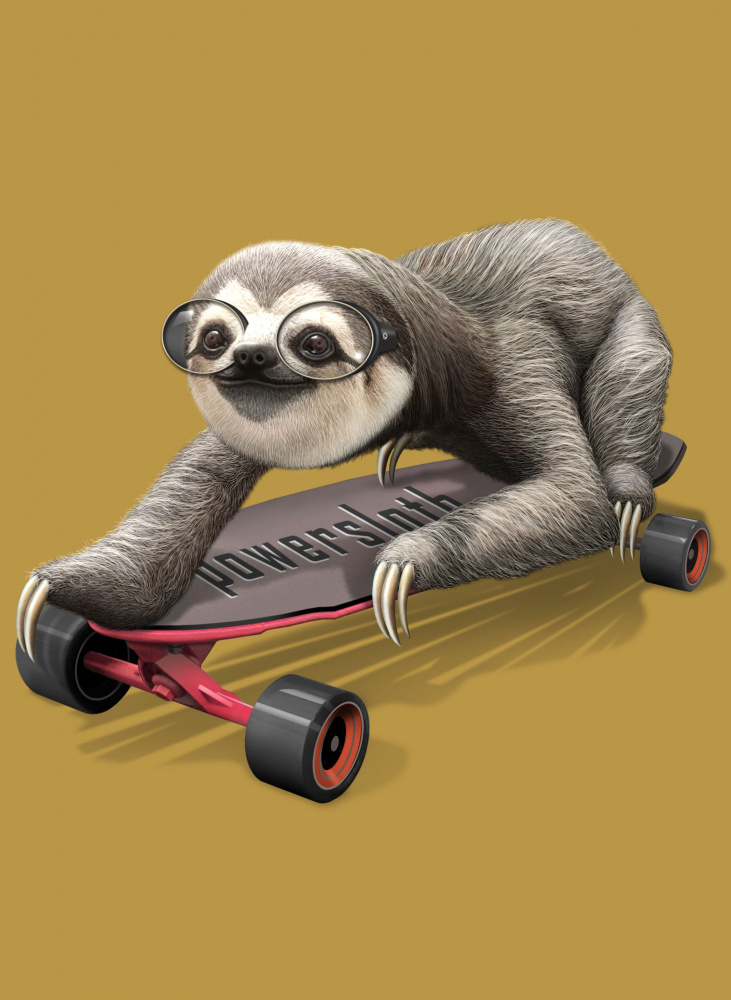 sloth on skateboard à Adam Lawless