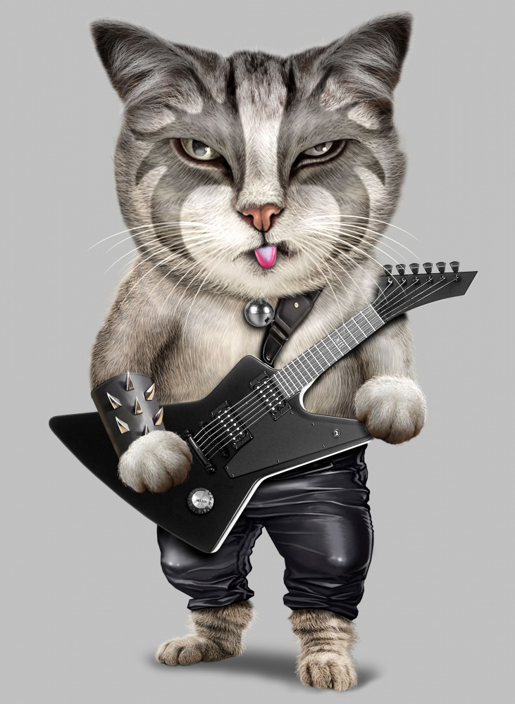 heavy metal cat à Adam Lawless
