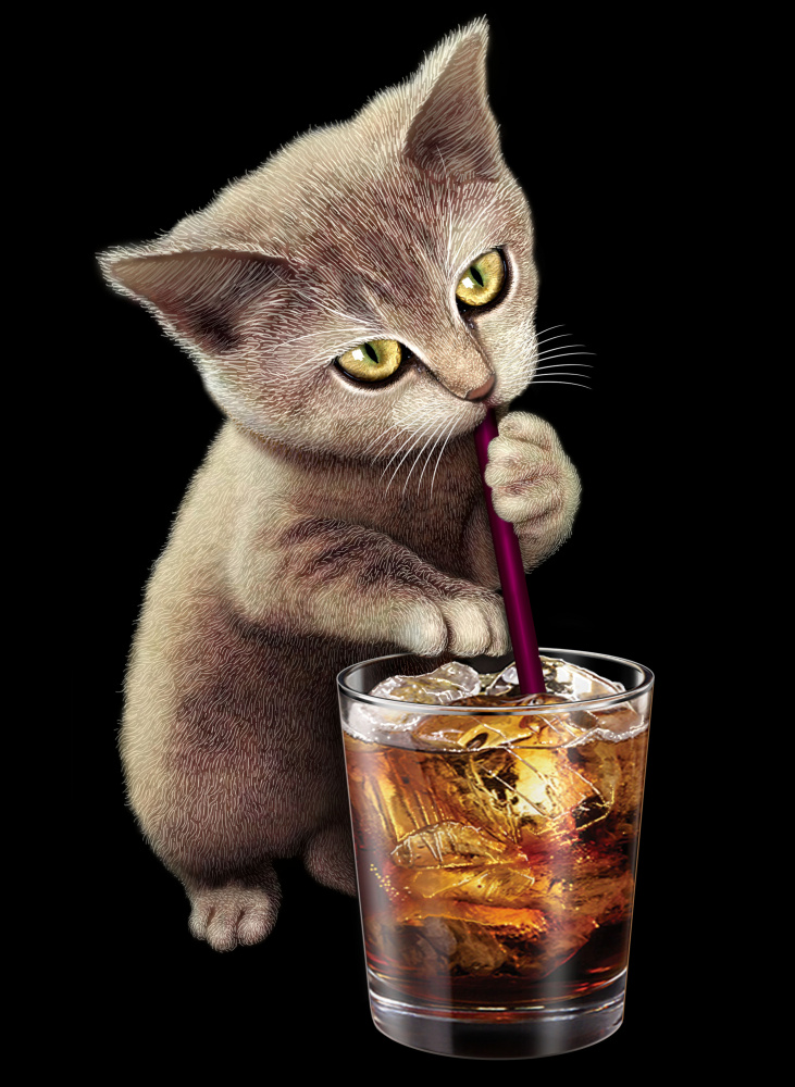 cat and soft drink à Adam Lawless