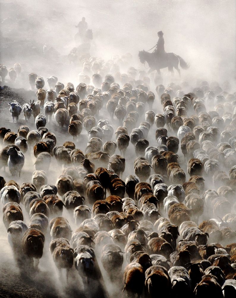 The Great Migration of China à Adam Wong