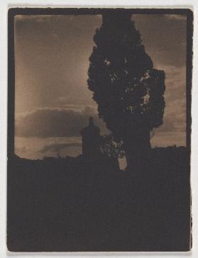 Silhouette of tree and tower in the evening sky