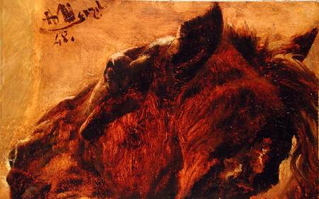 Head of a Dead Horse à Adolph Friedrich Erdmann von Menzel