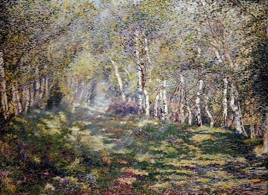 Silver Birches (oil on canvas) à Adriaan Josef Heymans