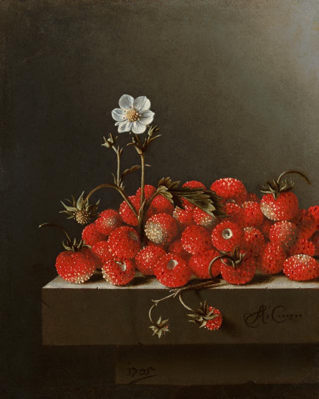 Still Life with Wild Strawberries à Adrian Coorte