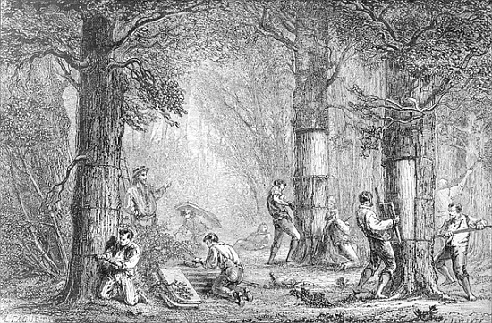 Bark (Gathering the Bark of the Cork Tree) ; engraved by Charles Laplante (d.1903) à (d'après) A. Faguet