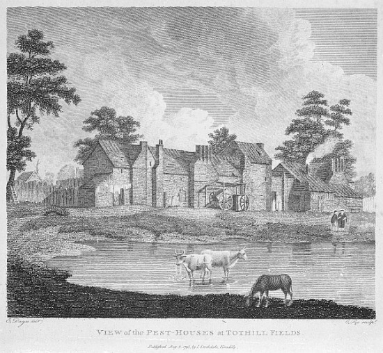 View of the Pest-Houses at Tothill Fields ; engraved by Charles Pye à (d'après) Edward Dayes