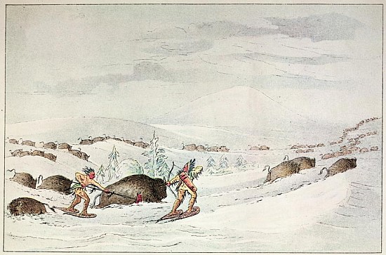 Hunting buffalo on snow-shoes à (d'après) George Catlin