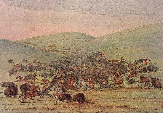 Minatarees attacking buffalo on horseback à (d'après) George Catlin