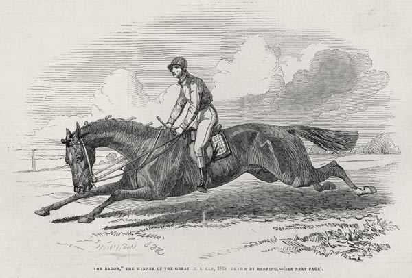 ''The Baron'', the winner of the Great St. Leger, from ''The Illustrated London News'', 27th Septemb à (d'après) John Frederick Herring Snr