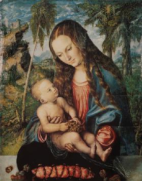 Madonna under the fir tree, c.1510