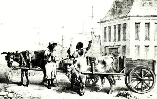 Negro Boys with bullock carts, from ''Voyage a Surinam'' 1834 à (d'après) Pierre J. Benoit