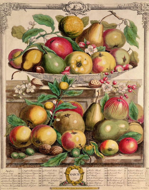 March, from ''Twelve Months of Fruits'', Robert Furber (c.1674-1756) ; engraved by  Henry Fletcher,  à (d'après) Pieter Casteels
