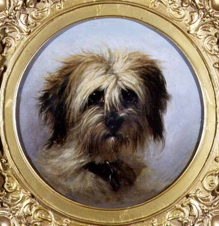 A Head of a Terrier (board) à Agnes Dundas