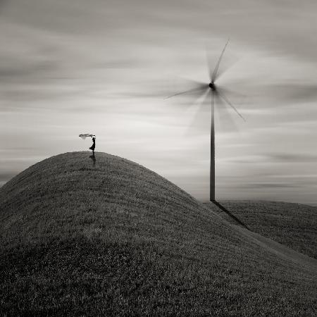 Windy Day